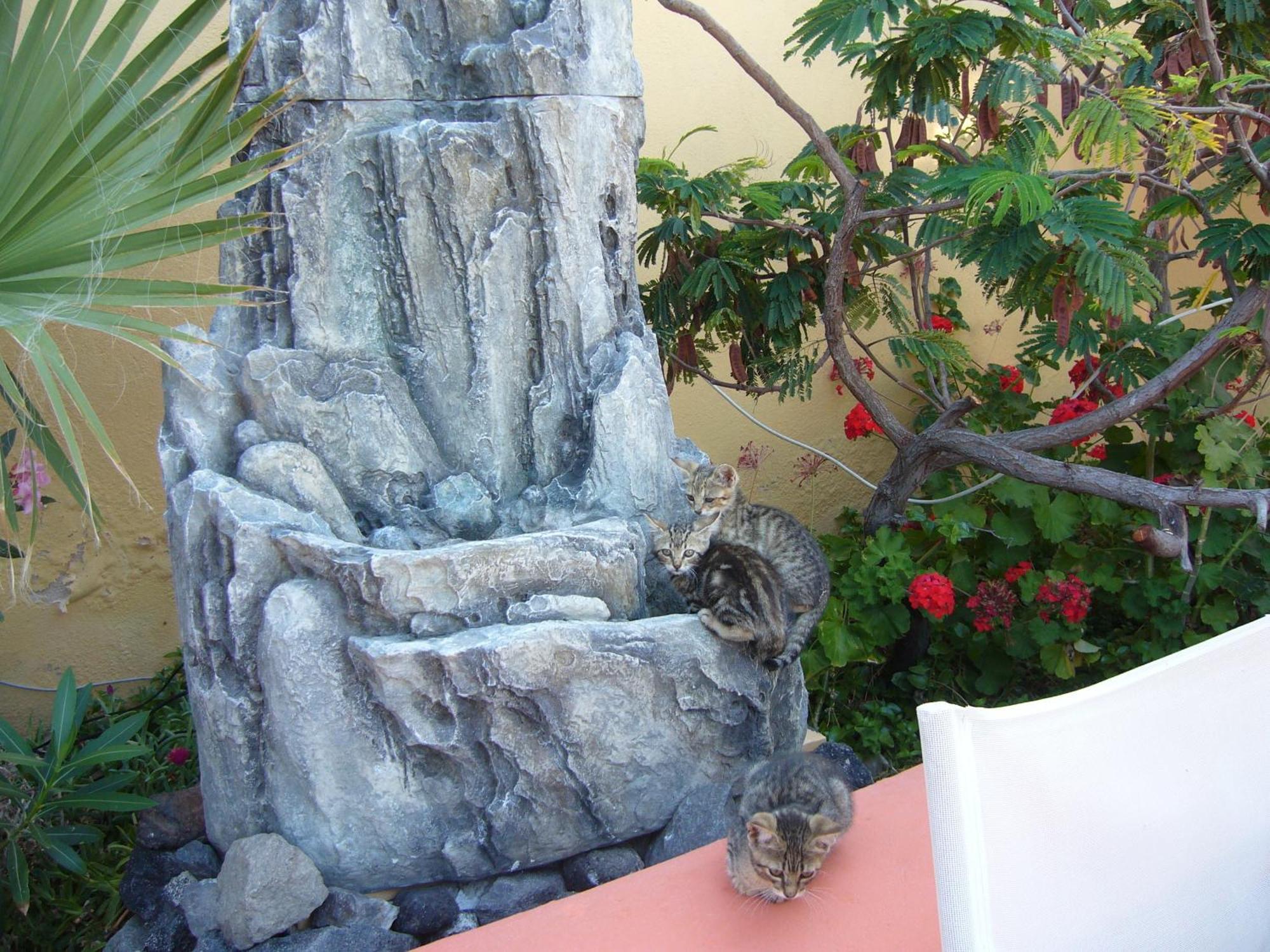 Soulis Hotel Ia Exterior foto